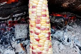 多彩中国话湖北神农架乡土方言非常有意思堪称神普图片