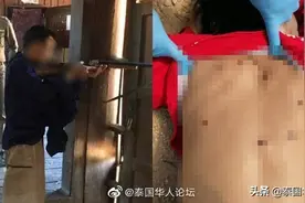 泰国男子持枪追射朋友 只因“鬼”上身图片