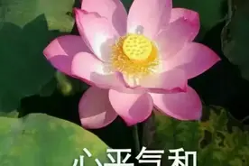 湖南郴州：两家长在微信群互撕，约架后大打出手，闹上了法庭！图片