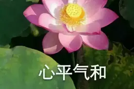 湖南郴州：两家长在微信群互撕，约架后大打出手，闹上了法庭！图片