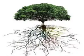 告诉孩子：欲求功名 先顾根基图片