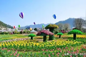 张湾秋景打卡地盘点！其中两处生态园入选全省重点名单图片