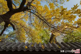 加湿器评测 | 从不足百元到数千元，40倍价差中有多少智商税？图片