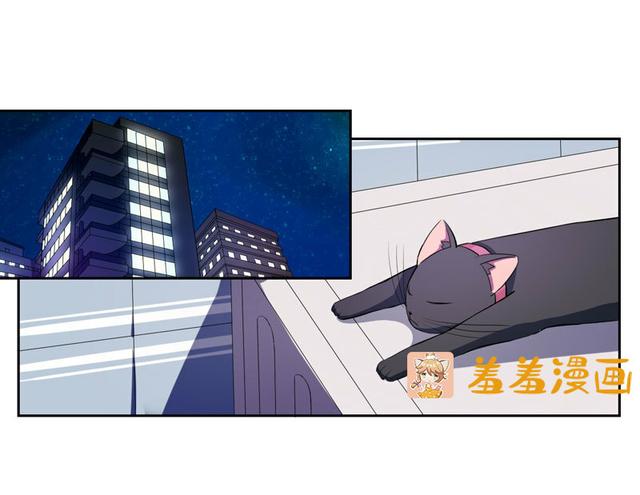 夜路走多了，竟捡到宝，带着巨钻的小黑猫一只