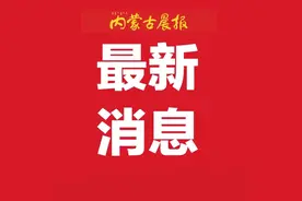对33名拟任干部进行公示图片