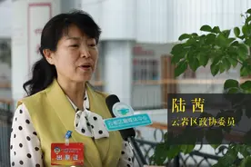 【委员履职记】陆茜：做好心理疏导 帮助退役军人融入社会图片
