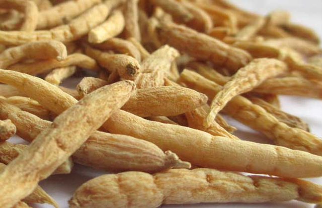 中医常见治疗胃病的中药材大全,很实用,收藏起来吧