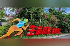 女足奥运输5球，中国足球会一直没落下去？图片