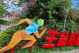 女足奥运输5球，中国足球会一直没落下去？图片