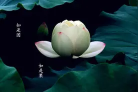 与其向天再借500年，不如活好这一生图片