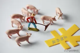 无惧“禁抗令”？正邦科技拟定增80亿“补血”资产负债率逼近70%图片