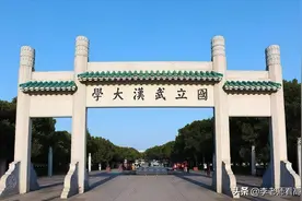高校趣闻：武大合并之武大大了，武水水了，武测撤了，湖医糊了图片