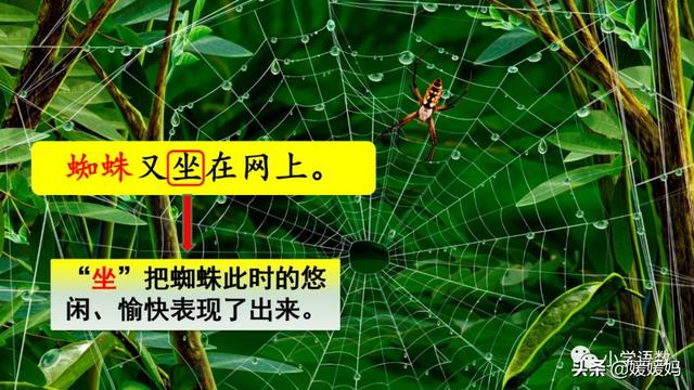 二年级下册语文课文16《雷雨》图文详解及同步练习