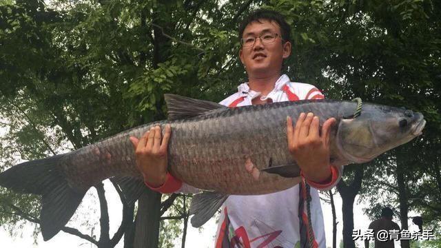 知理善用、深度解析——“钓鱼小药”在垂钓中的作用、成分、原理