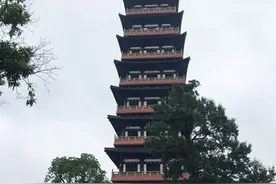 出境游旅企全面“专攻”国内游图片