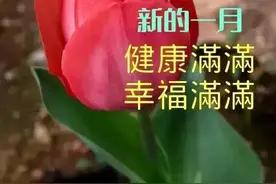 美女表情包：生理年龄无法抗拒，但生活方式的年轻掌握在自己手里图片