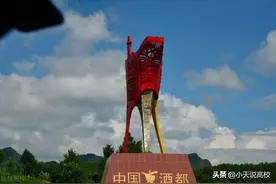 烟草院士余波未了，白酒院士呼之欲出，我们真的需要烟酒院士么图片