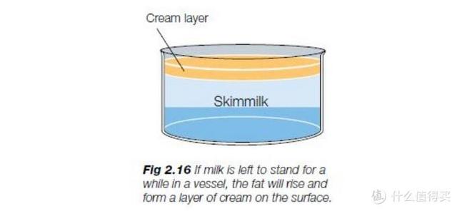法国塑身体乳哪个品牌好