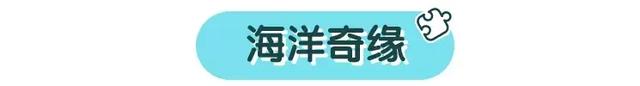 不是所有公主动画都适合孩子,真正好的还是这几部