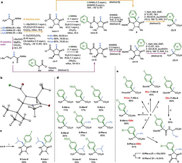 不用过渡金属催化剂的-氨基酸不对称芳基化