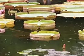 下雨的时候图片