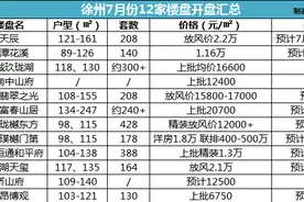 6000+元/㎡起！徐州12个楼盘7月开盘！下半场楼市大战开始图片