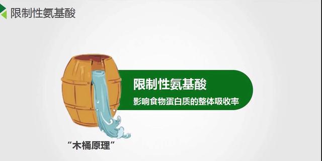 什么是限制性氨基酸你知道吗?