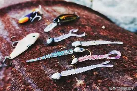 厦门根钓初体验，赶上潮水，找准结构，石狗公连杆！图片