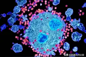碰到HIV感染者的血，会被传染上吗？图片