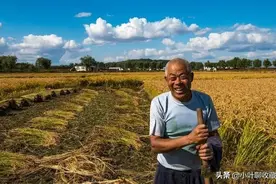 山西农民除草挖出一箱“黄金”，重70斤估价2000万，无偿上交图片