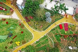 【我们的城市，我们的茂名⑧】三百米见绿，五百米见园！茂名“城市颜值”担当！图片