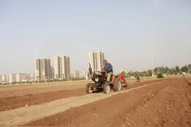 9月1日起，土地新规实施，抢栽抢建不补偿，种树养鱼重罚图片