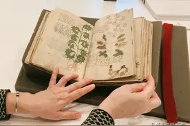 600多年来，无人能懂“伏尼契手稿”，强大的AI只能破译一句话图片