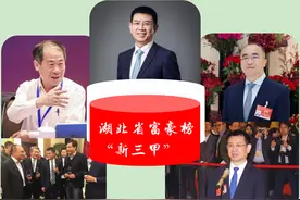 湖北省富豪榜“新三甲”：一人身价390亿，吴少勋是最大“黑马”图片