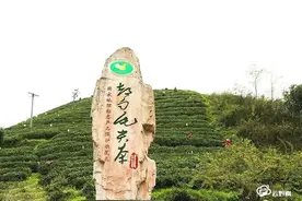 《中欧地理标志协定》正式签署，黔南2个地理标志产品进入清单图片
