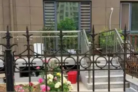 我住一楼：诗意的院子和睦的邻居，我在院子按了水泵图片