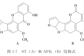 动物源性食品中霉菌毒素的检测——杂色曲霉素图片
