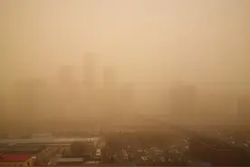 植树节后沙尘暴，还有人要在沙漠种水稻……图片
