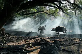 牛因错被贬下凡，一个流传在青藏、黄土两大高原交界处的神话故事图片