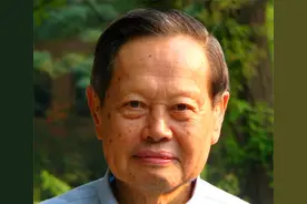 爱因斯坦邀请杨振宁交流，两人交流1.5小时，杨振宁：啥都没学到图片