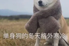 神回复：情侣吵架，模仿对方说很欠揍的话。哈哈，场面不受控制图片