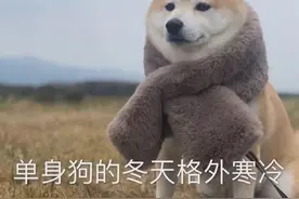 神回复：情侣吵架，模仿对方说很欠揍的话。哈哈，场面不受控制图片