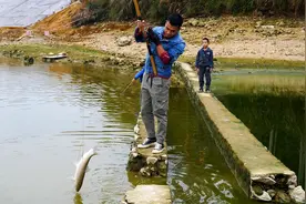 可视锚鱼的罪与罚，判刑数年罚款上万，为何如此遭人恨？图片