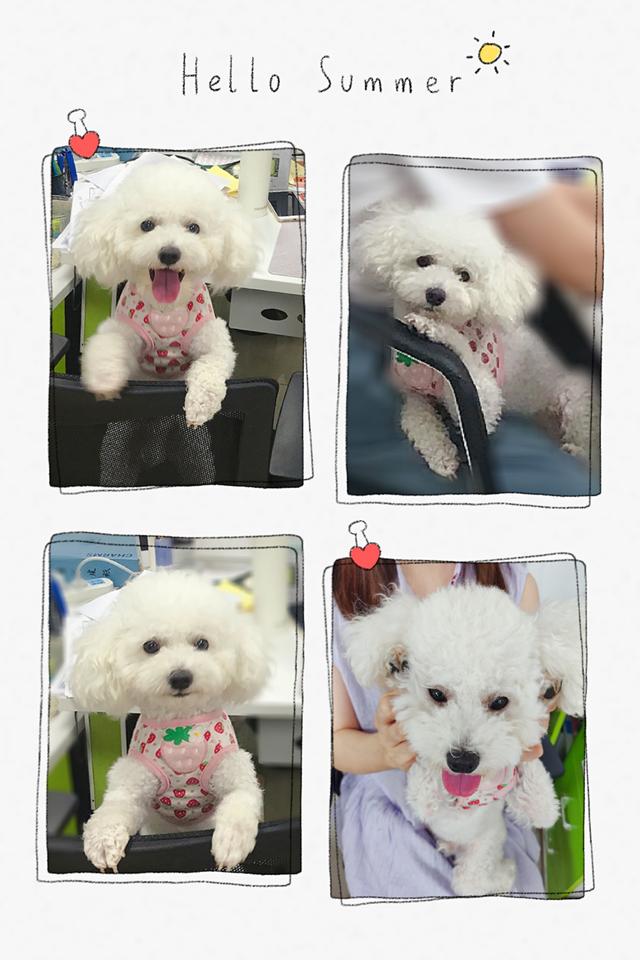 感冒长湿疹怎么办