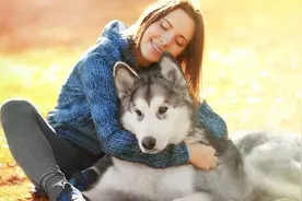 10条关于狗狗身上的冷知识，你真的了解汪吗？图片