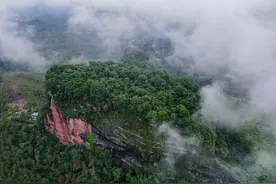 《世说新语》原文 译文（九）图片