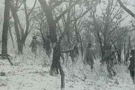 真实的东北剿匪：土匪枪法很准，剿匪部队多次遇埋伏伤亡惨重图片