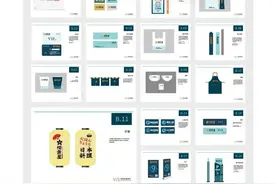 VIS手册、贴图样机、导视系统…企业品牌设计99%的资源都在这了图片