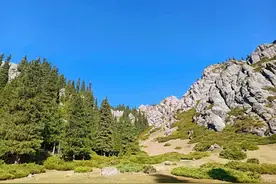 来天山吧，我的草原我的马，我想咋耍就咋耍，又来天鹅湖图片