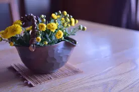 偷走女人的心，不需要花太多钱，会套路就行图片